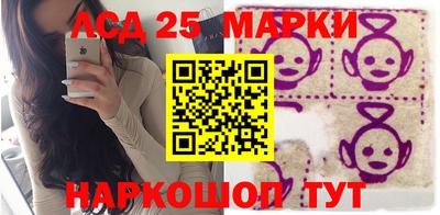 гидра Будённовск