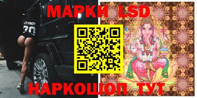 гидра Будённовск