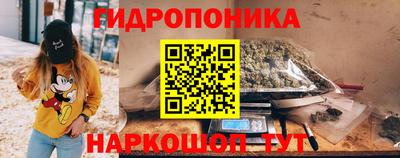 гидра Будённовск