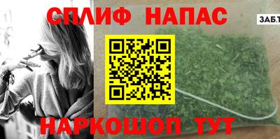 гидра Будённовск