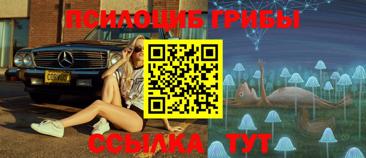 Галлюциногенные грибы ЛСД Фрязино